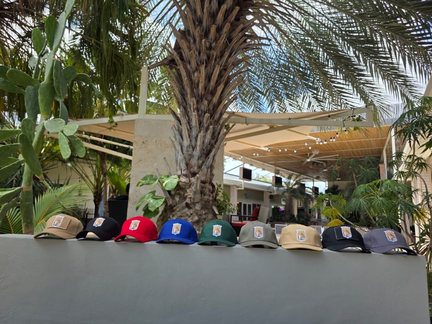 Alle 10 kleuren ReNova Curaçao caps op een rij