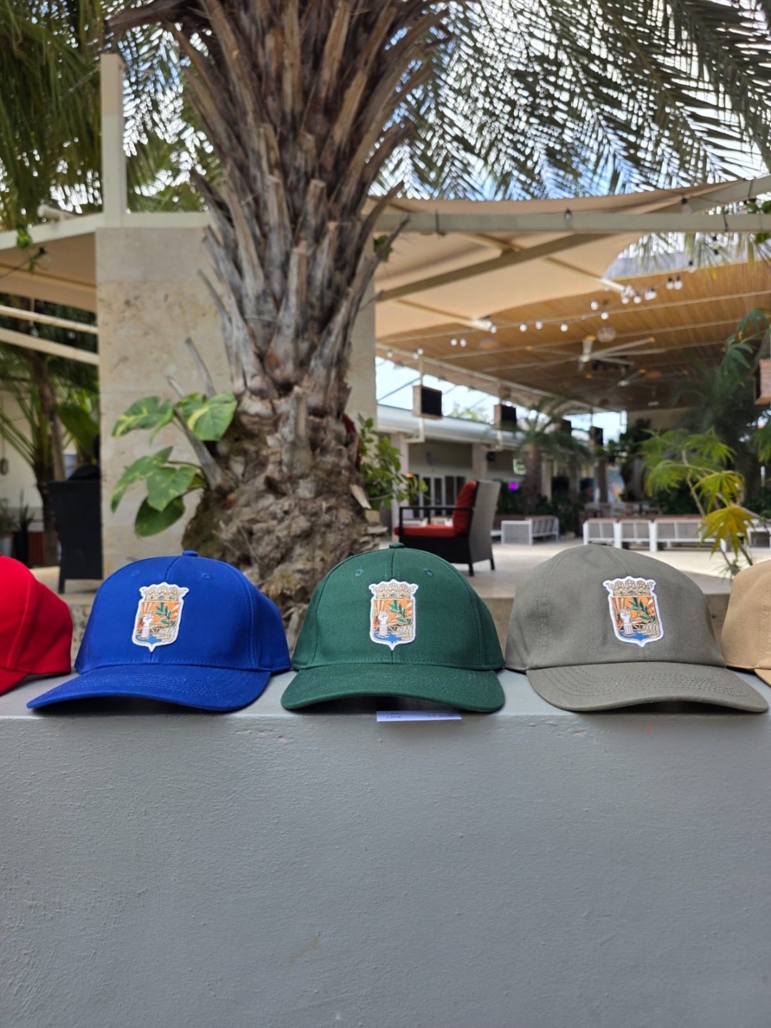 ReNova Curaçao caps met Curaçao wapenschild embleem — blauw, groen en grijs